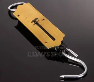 25kg Pocket Spring Weighing Scale