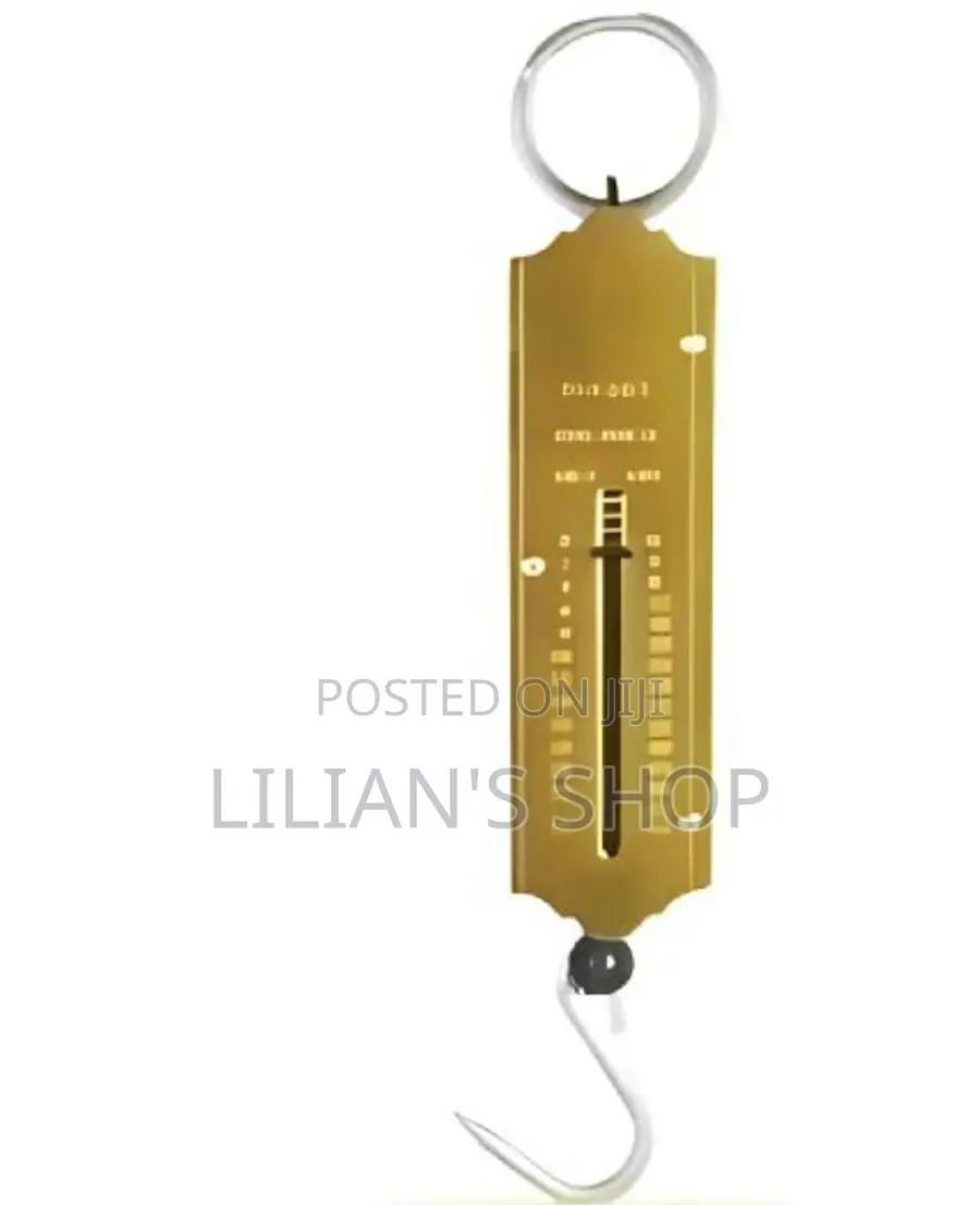 25kg Pocket Spring Weighing Scale