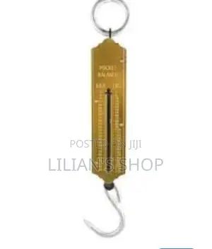 25kg Pocket Spring Weighing Scale