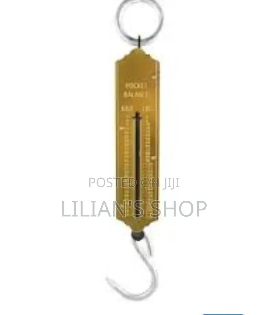 25kg Pocket Spring Weighing Scale