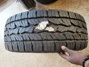 285/60r18 New DUNLOP for V8.