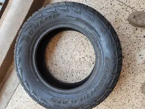 285/60r18 New DUNLOP for V8.