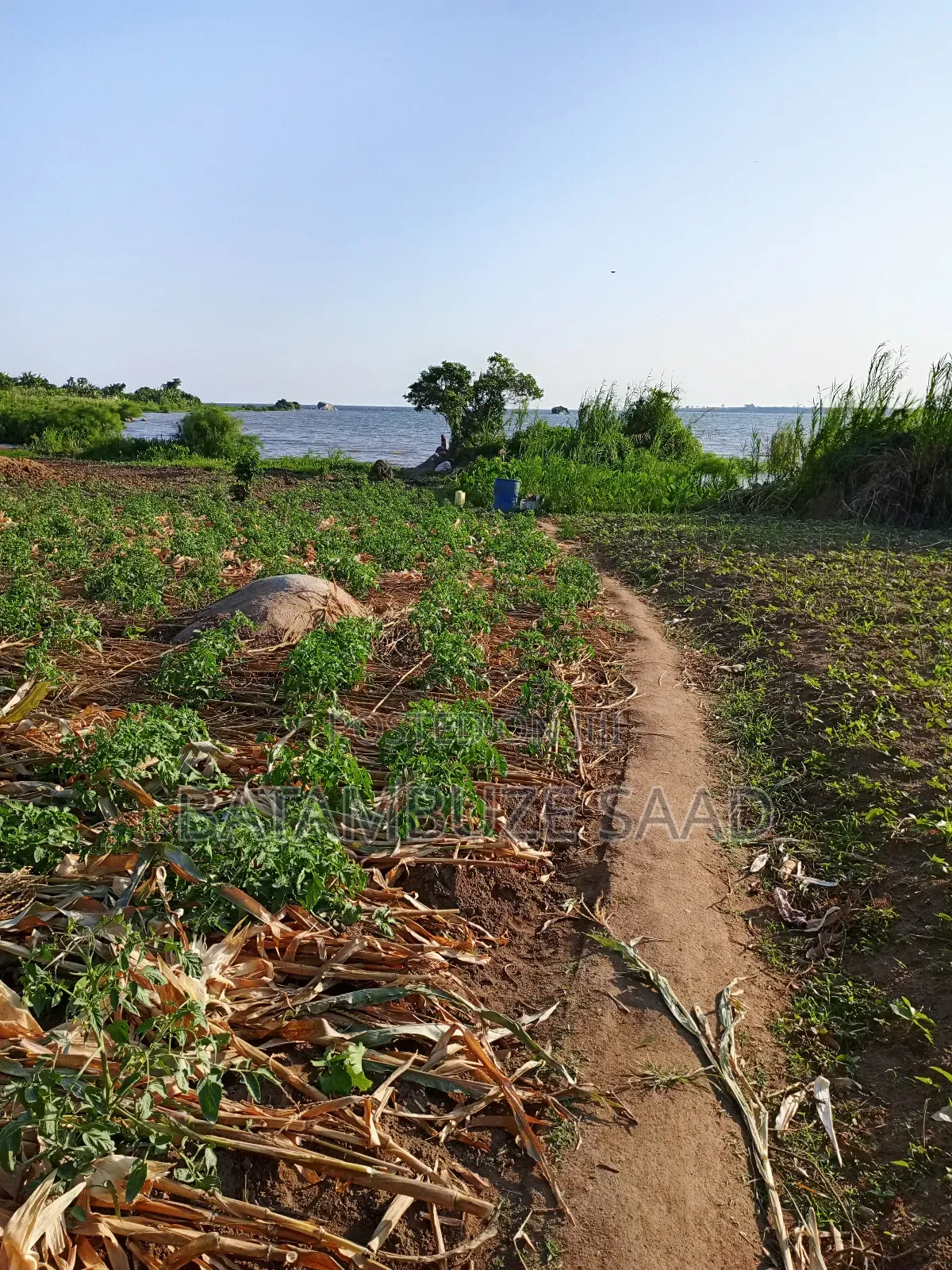 5 Acres of Farm Land on Lake Shores