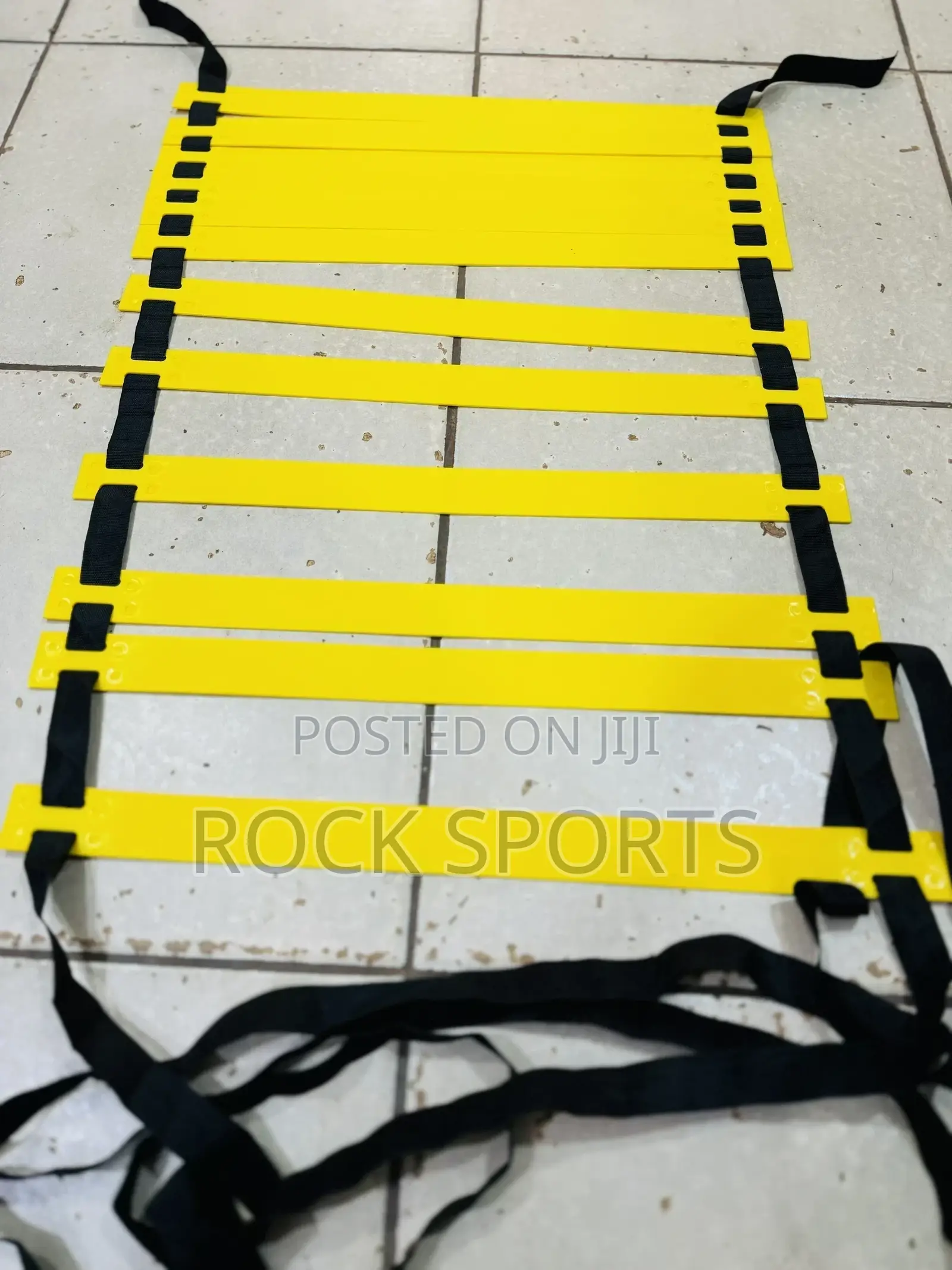 Training Agility Ladders
