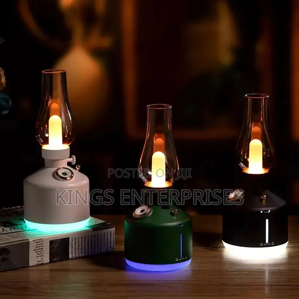 Rechargeable Adjustable Lamp and Humidifier