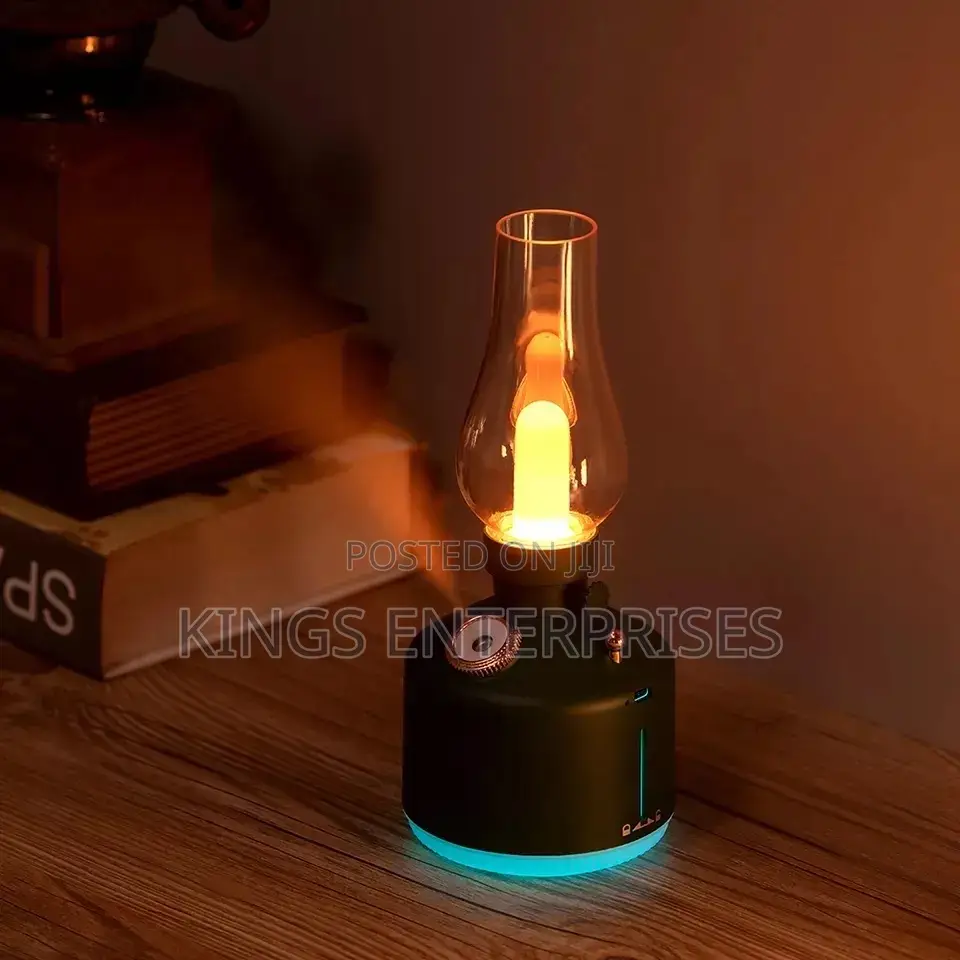 Rechargeable Adjustable Lamp and Humidifier