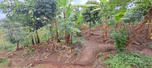 Photo - 1 Acre and 30 Decimals