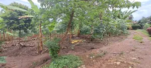 1 Acre and 30 Decimals