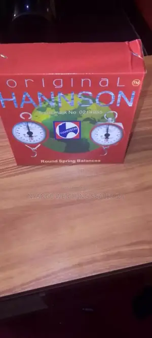 100kg Hannson Mechanical Hanging Scale (006)