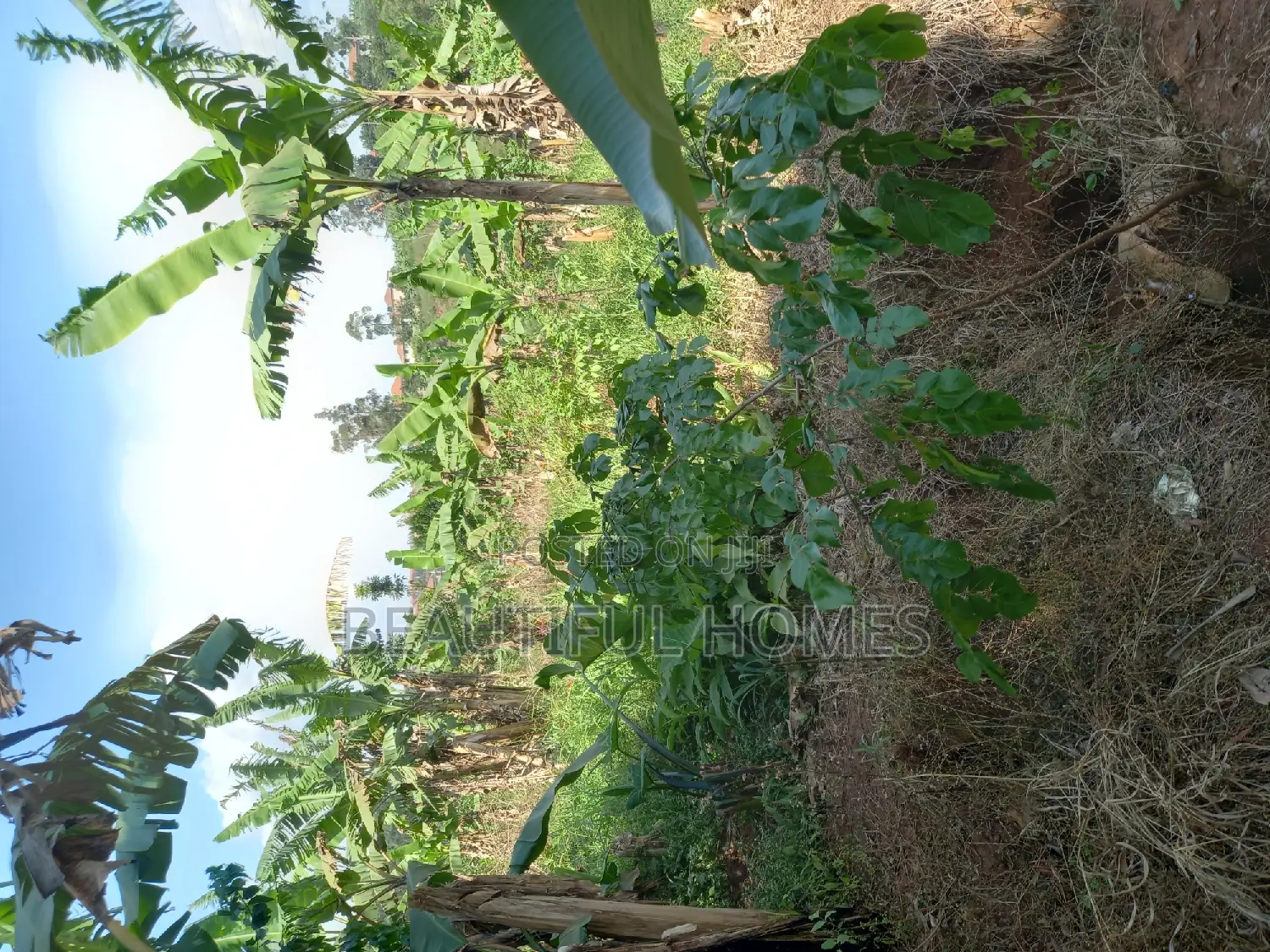 Kira One Acre on Quicksale
