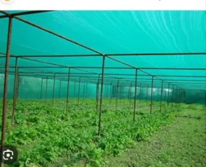 Construction Green Shade Nets