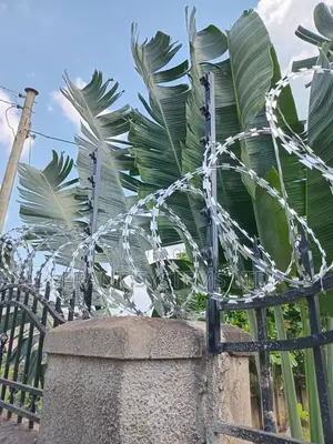 Electric Fence With Razor Brand New