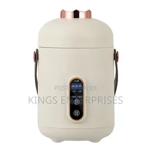 Rechargeable Food Warming Flask