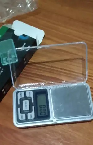 Multi Function Digital Portable Scale(012)