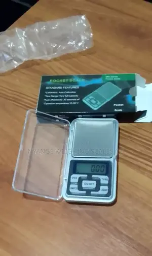 Weight Electronic Portable Mini Scale (012)