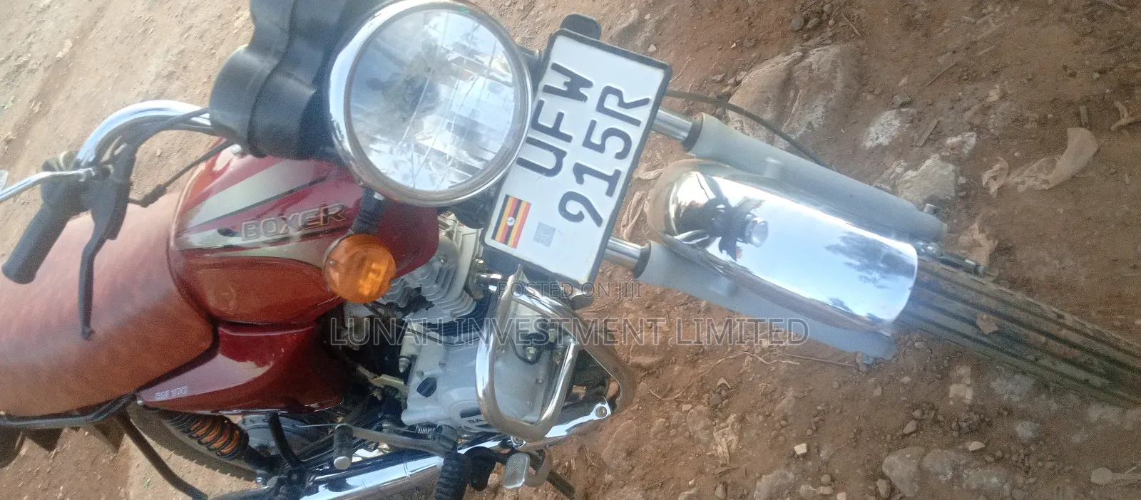 Bajaj Boxer 100 2024 Red