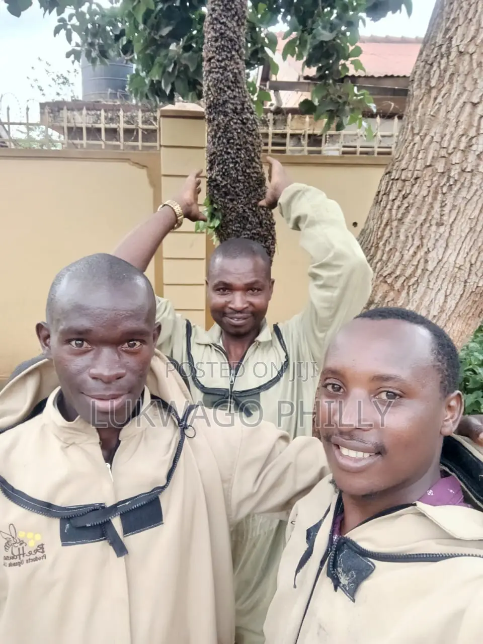Professional Live Bee Removal Services