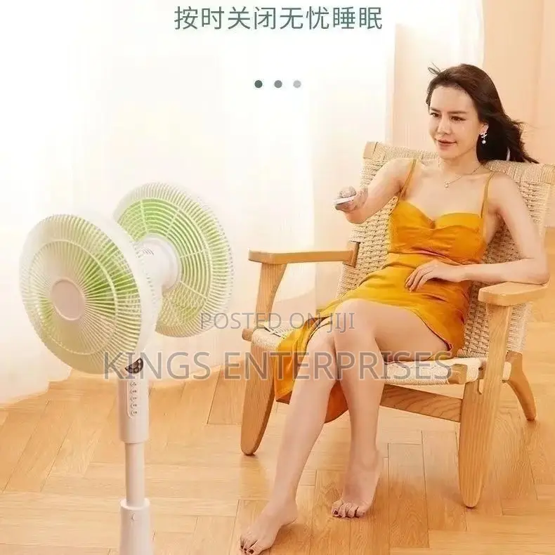 Adjustable 360 Rotating Double Headed Fan