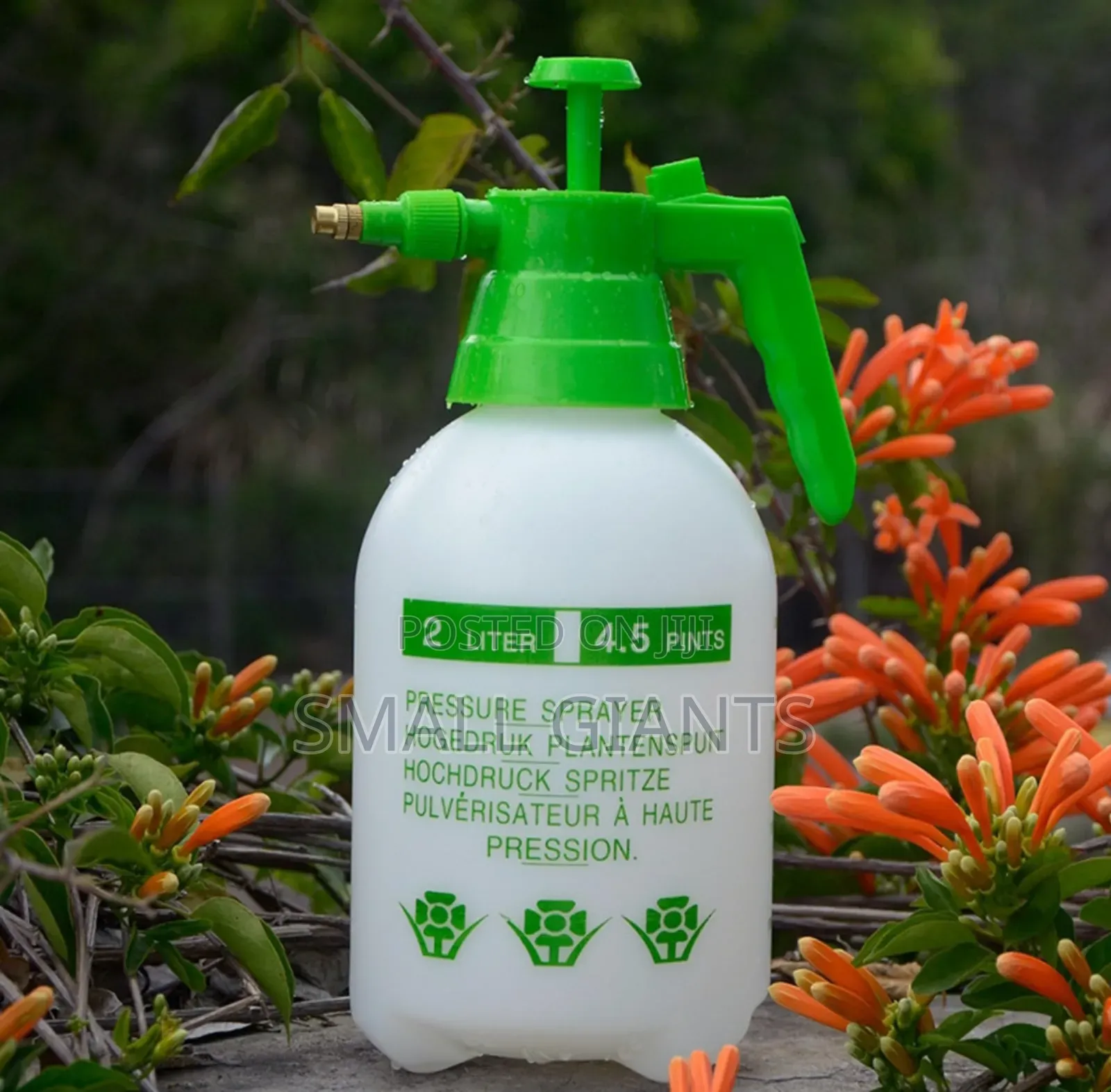 2L Garden Hand Pressure Spayer