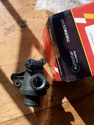 Thermostat for W168. 166