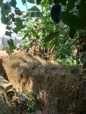 Kira One Acre on Sale