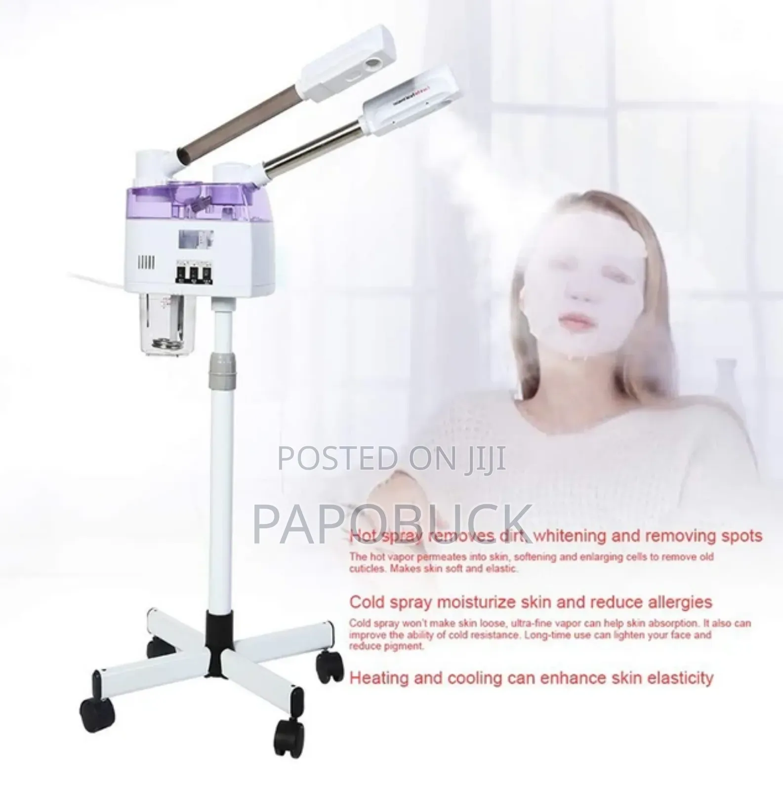 2 in 1 Hot and Cold Professional Facial Steamer