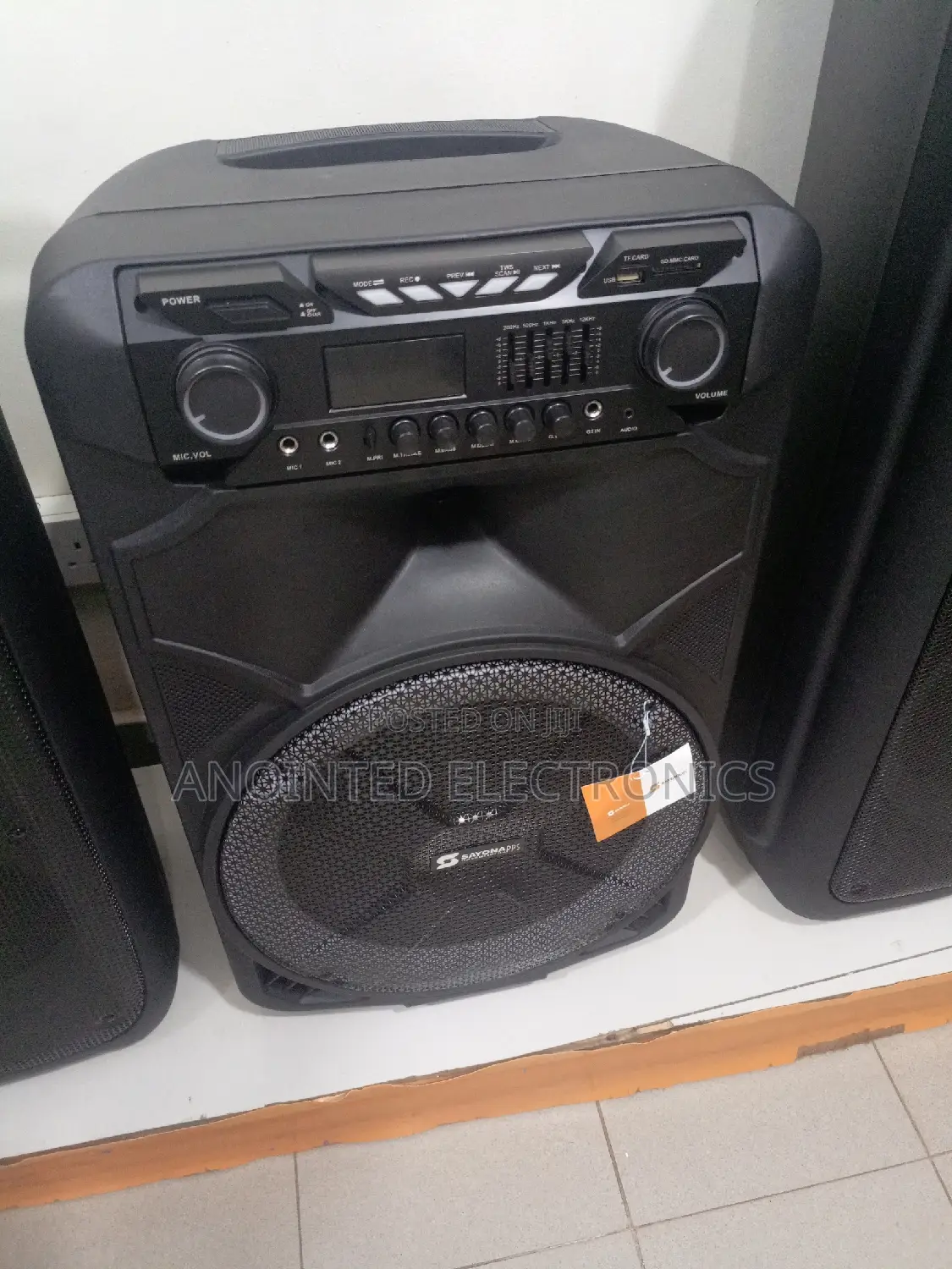 Sayona Rechargeable Speaker 15"