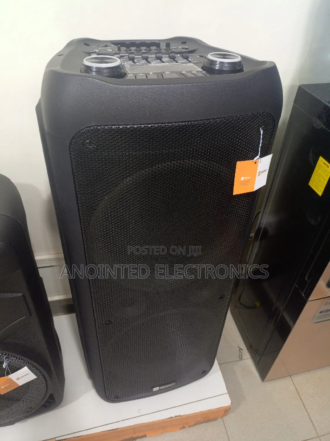 Sayona Rechargeable Speaker 10"