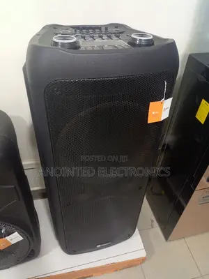 Sayona Rechargeable Speaker 10"