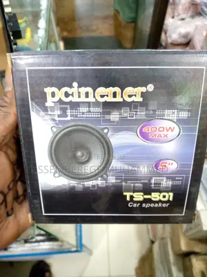 Car Speaker TS 501