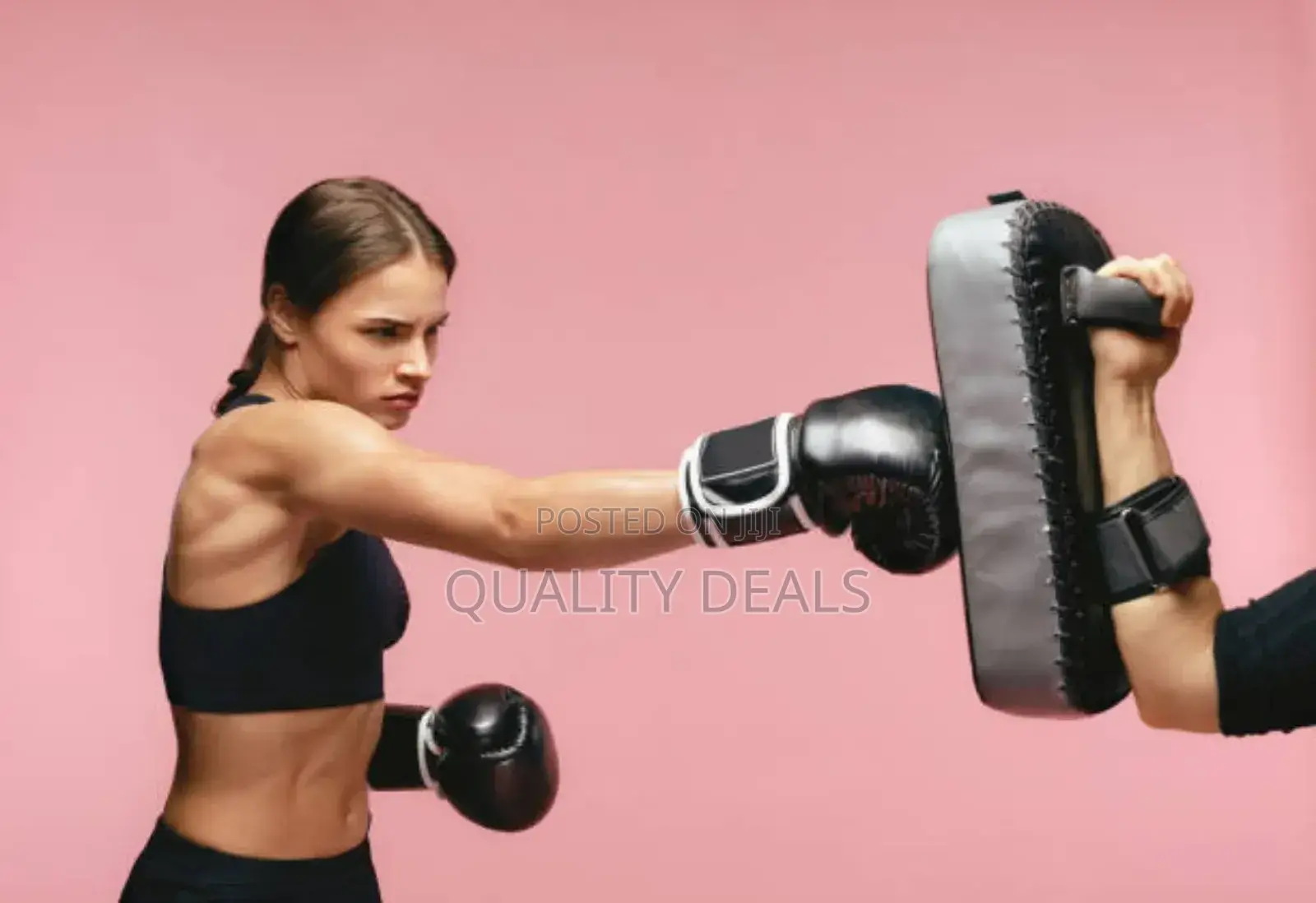 Boxing Training Hit Shield Pads