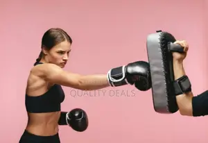 Boxing Training Hit Shield Pads