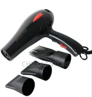 Electric Hair Dryer