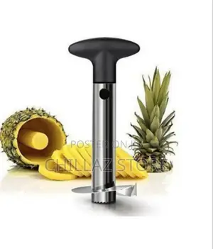 Stainless Pineapple Cutter