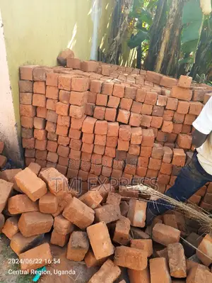 Ordinary Bricks (Soil Bricks)