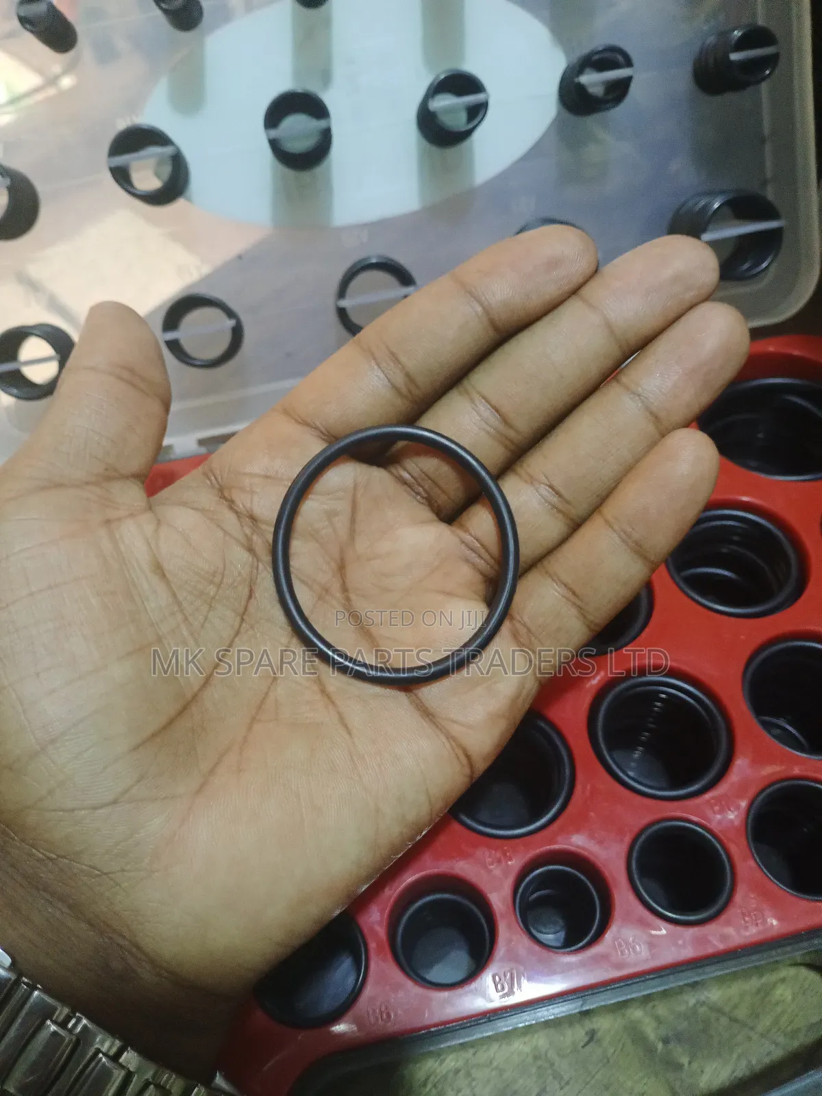 O Rings and Oil Seals