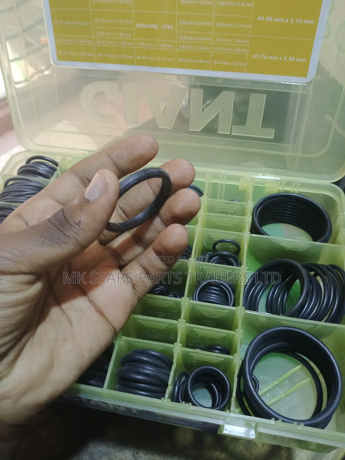 O Rings and Oil Seals