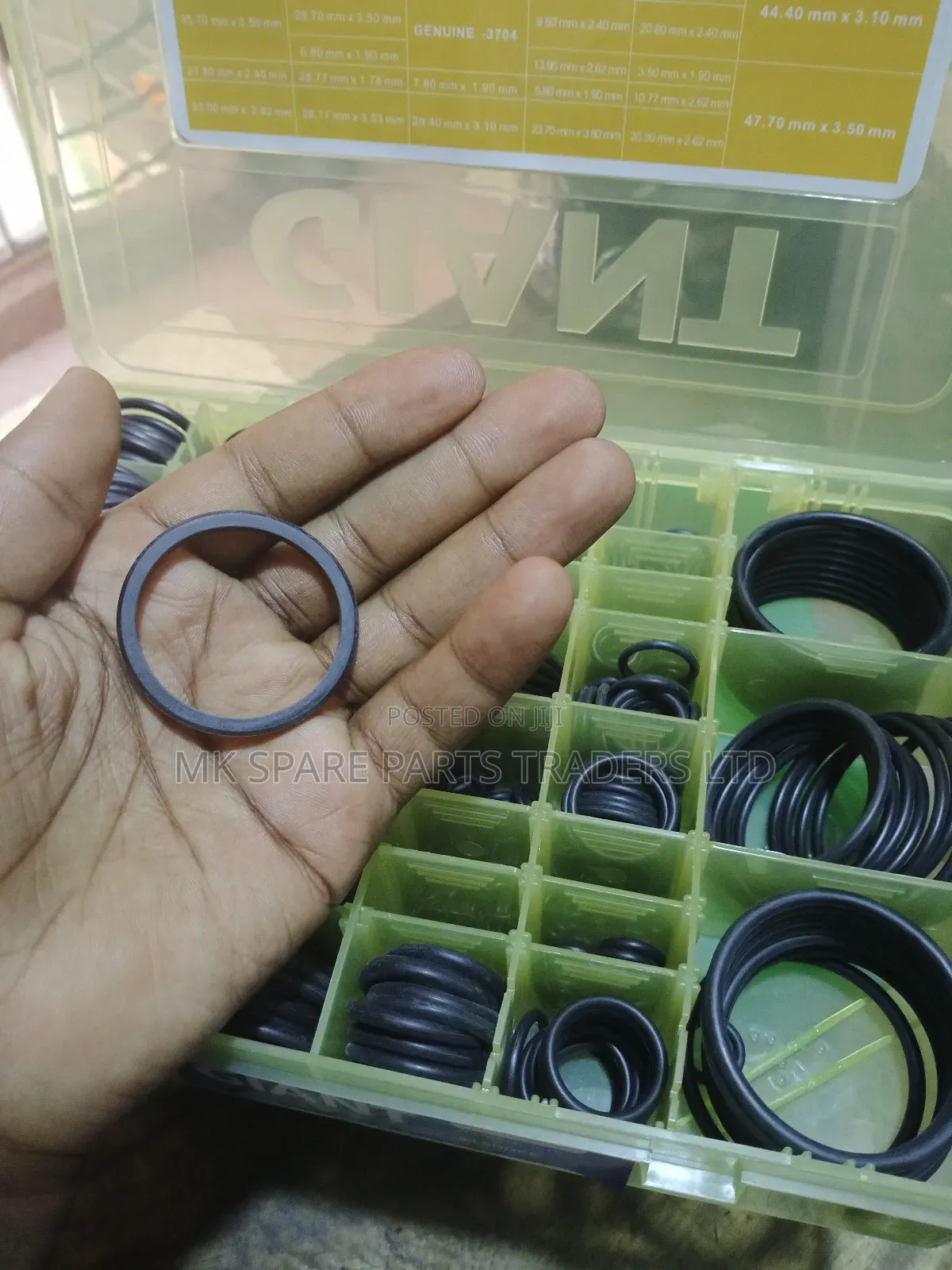 O Rings and Oil Seals