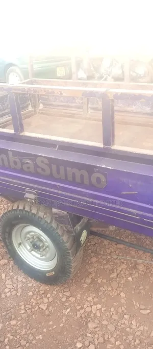 Tricycle 2022 Purple