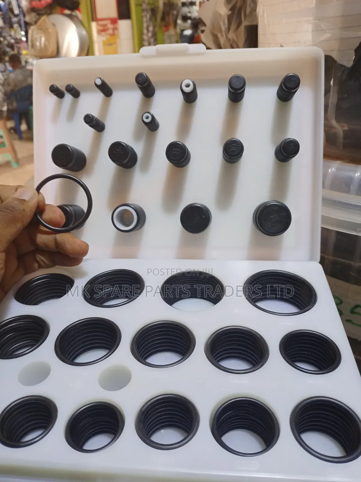 O Rings and Oil Seals