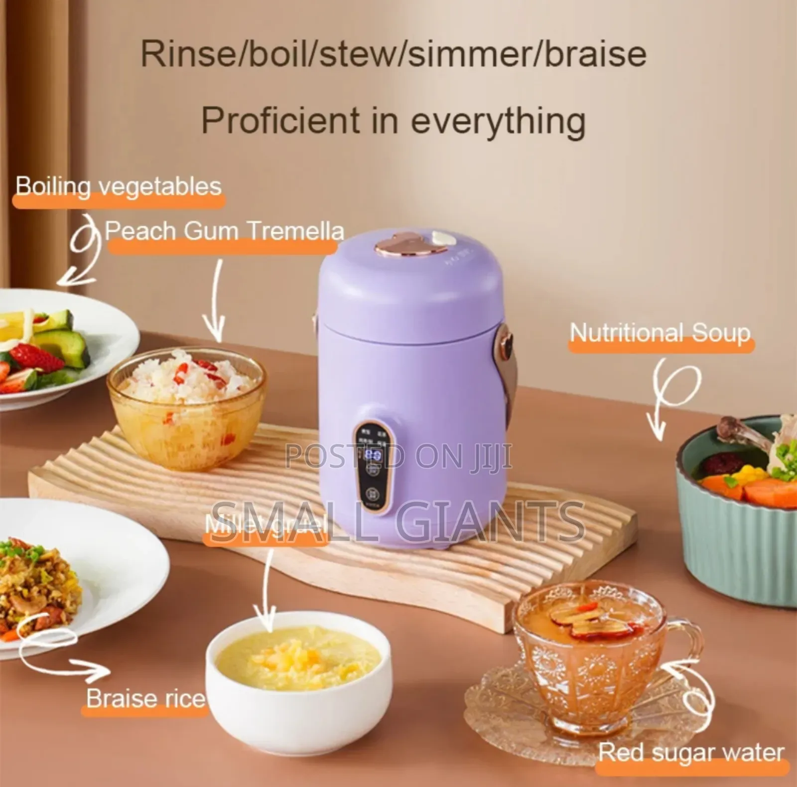 Thermo Health Slow Cooker Hot Pot