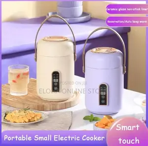Portable/Smart Electric Stew Pot