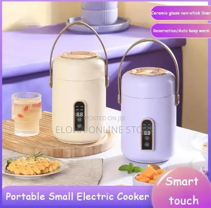 Portable/Smart Electric Stew Pot
