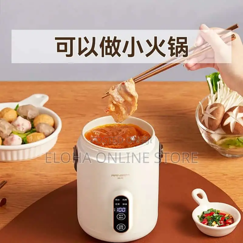 Portable/Smart Electric Stew Pot