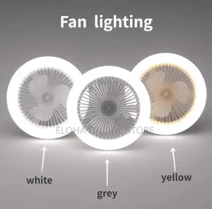 Ceiling Fan Lamp