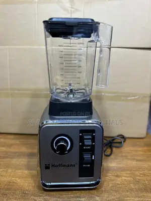Hoofmans Full Nutritional Blender Wall Breaker