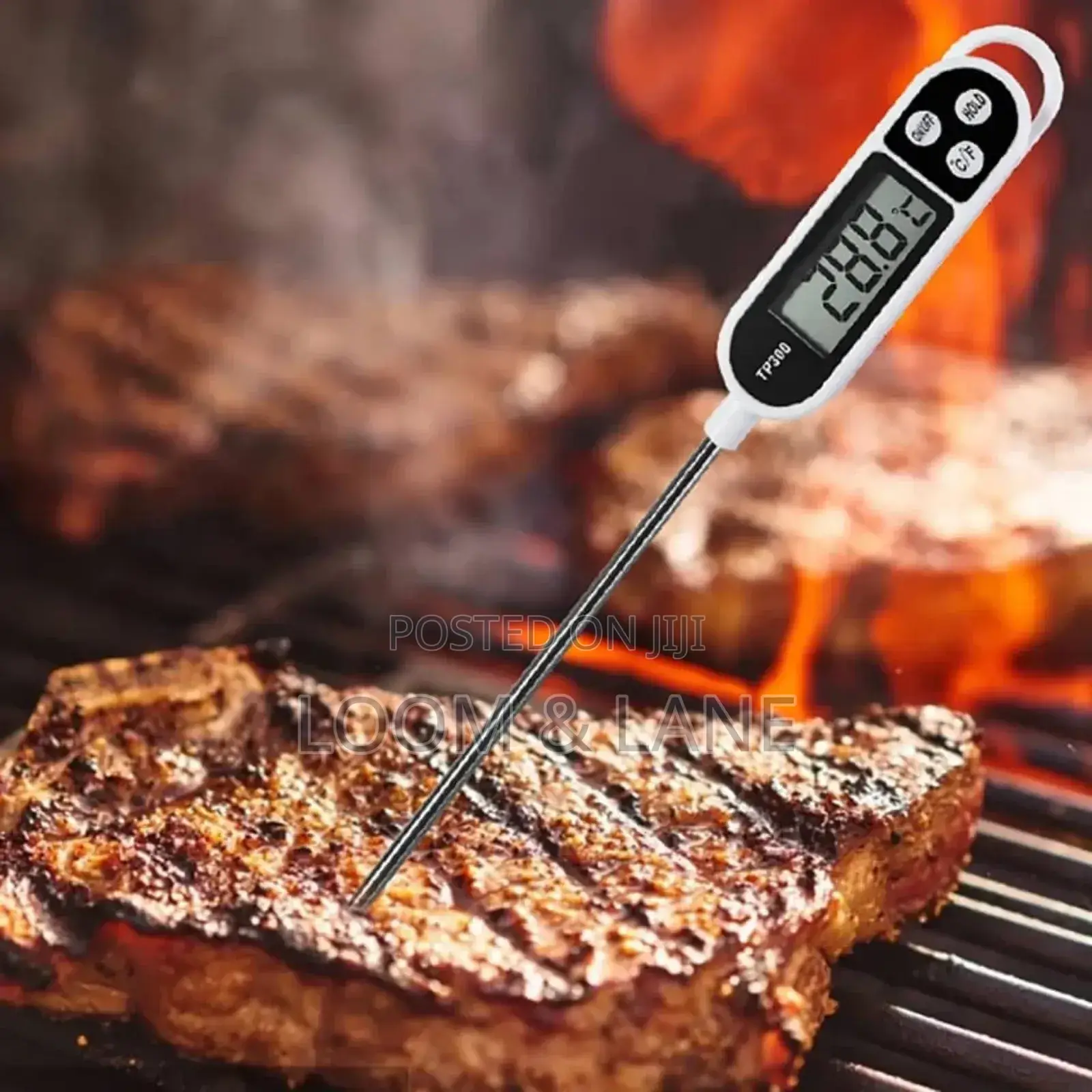 Digital Kitchen/Food Thermometer