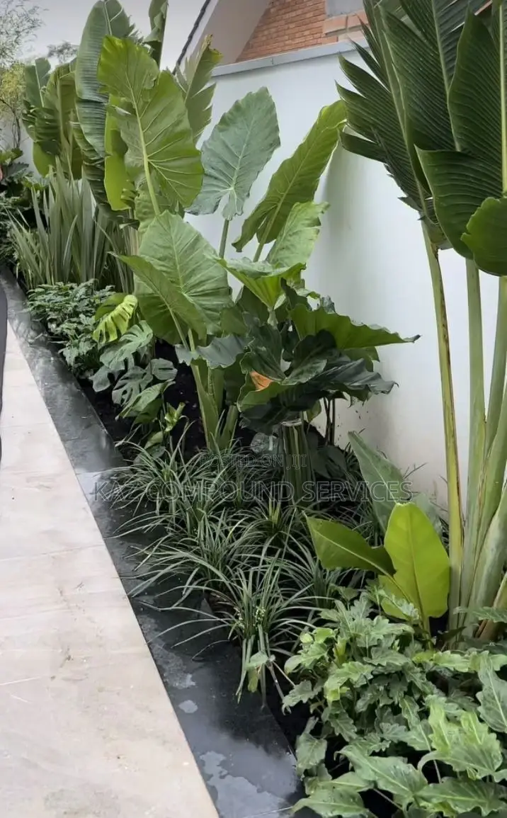 Best Landscaping Designs