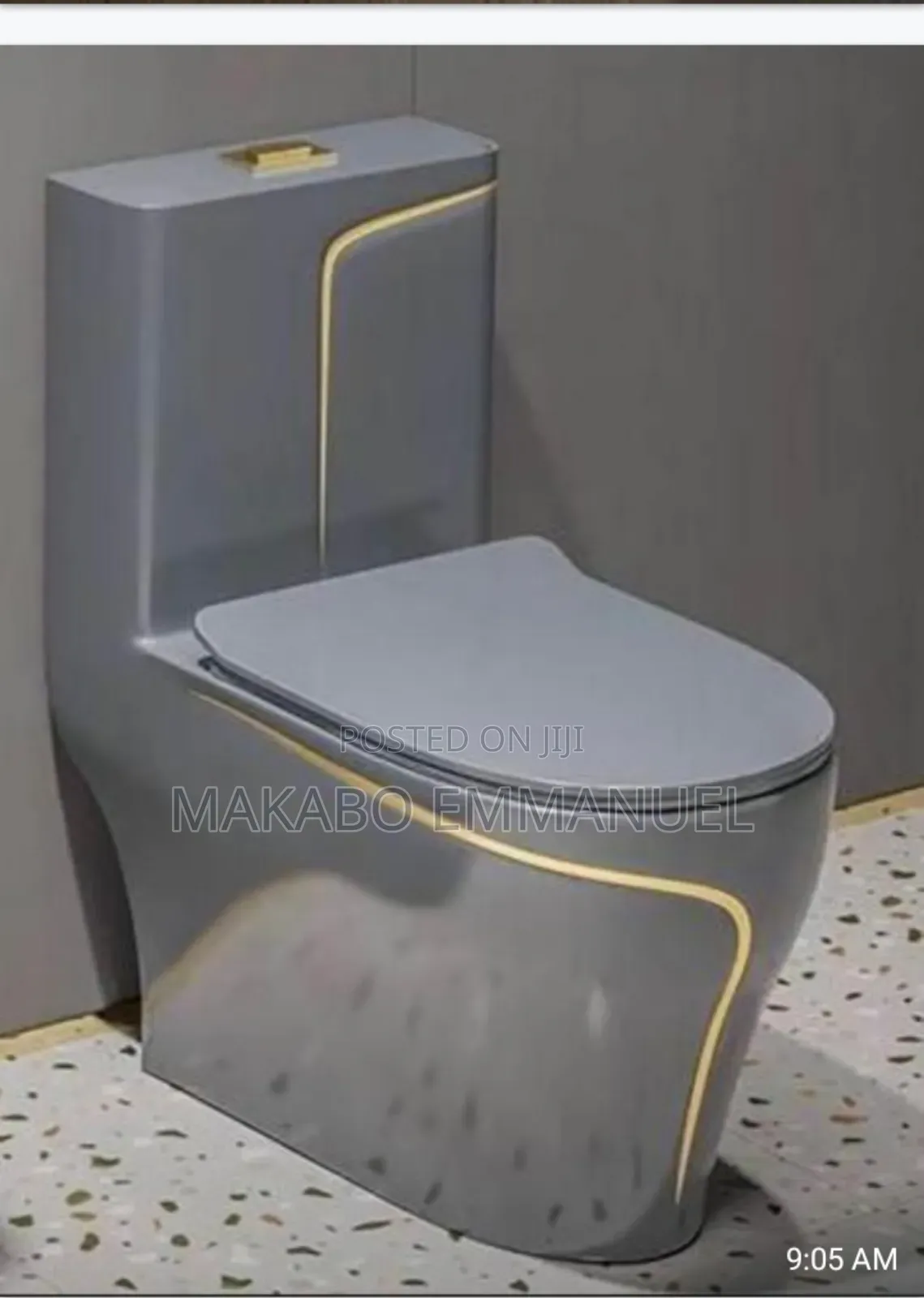 Grey Coloured Toilet