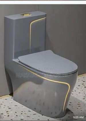Grey Coloured Toilet